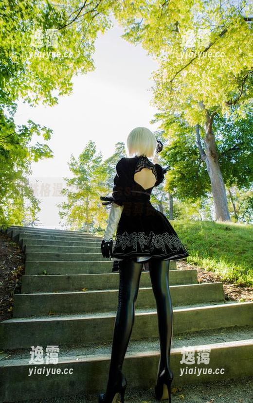 蜘蛛格温之梦：MissWarmJ带你领略不一样的写真资源