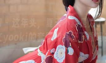 秀人网 – 这年头，夏天不就是为了看林文文yooki的套图和疯狂下载吗？